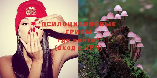 дживик Балахна