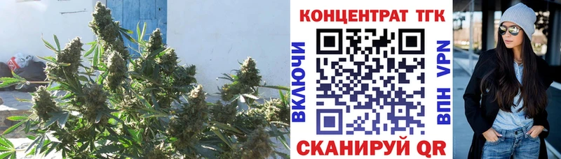 ТГК концентрат Невель